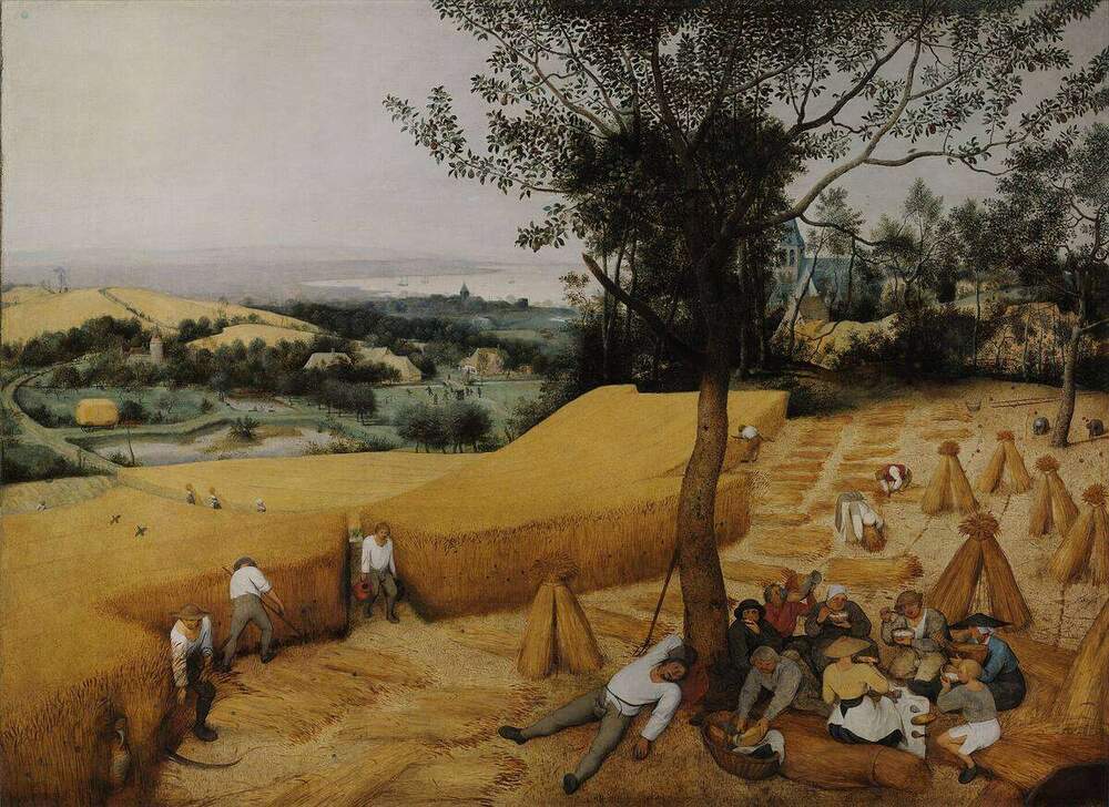 The Harvesters by Pieter Bruegel the Elder, 1565 — peasants harvesting wheat in a golden landscape