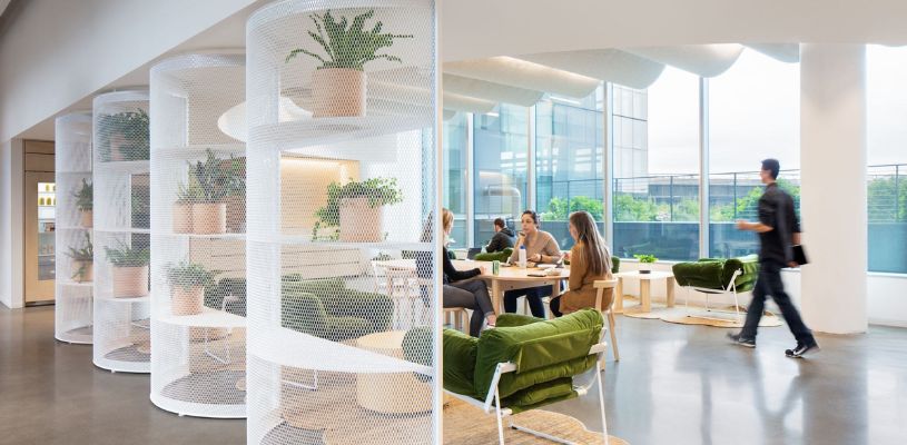 Dropbox Office