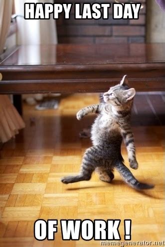 Cats last day of work meme