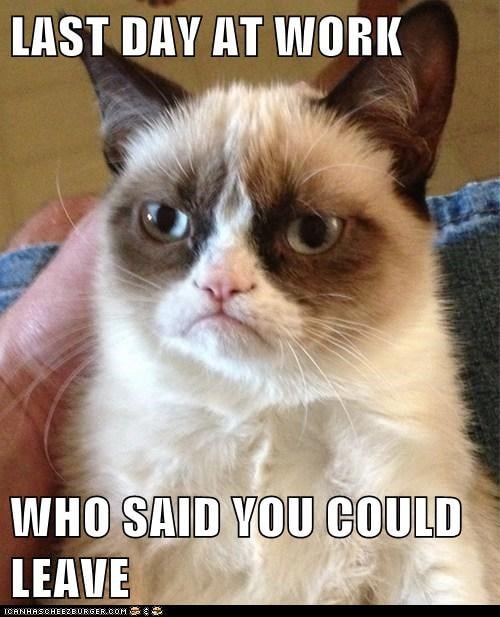 Grumpy cat last day of work meme