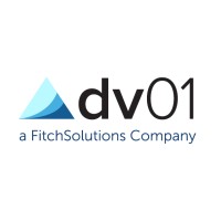dv01 logo