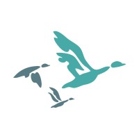 Democracy at Work Institute logo